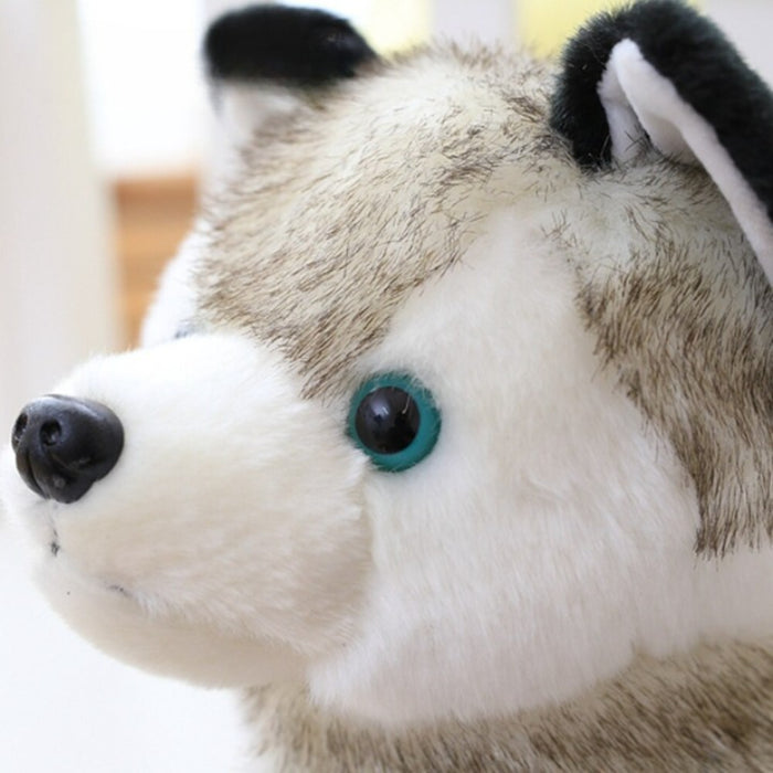 The Stuffed Husky Plush Toy