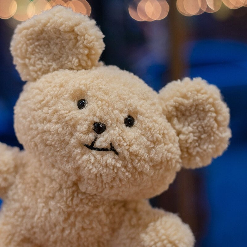 The Cartoon Teddy Bear Plush Toy