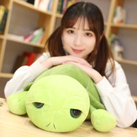 The Tortoise Plush Toy