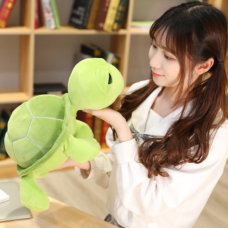 The Tortoise Plush Toy