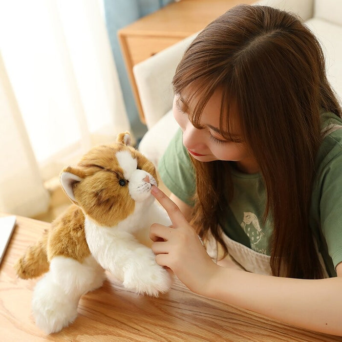 Simulation Cats Plush Toys