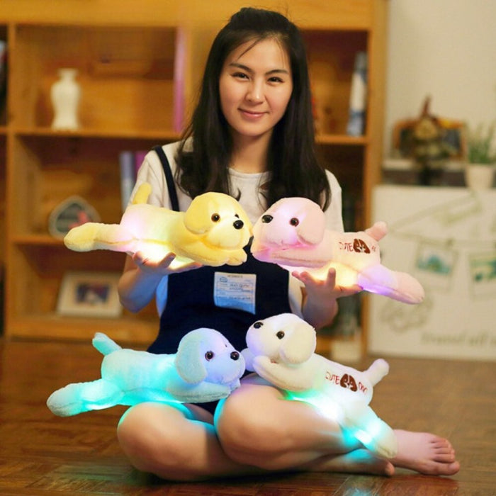 The Colorful LED Dog Plush Toy