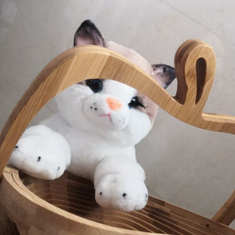 Lying Big Eye Cat Plush Toys – Bear R Us