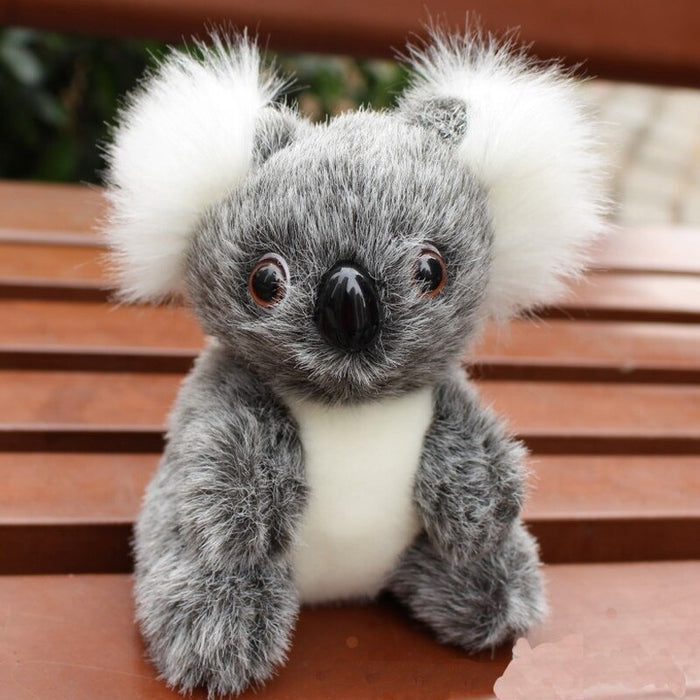 Australia Koalas Plush Toy