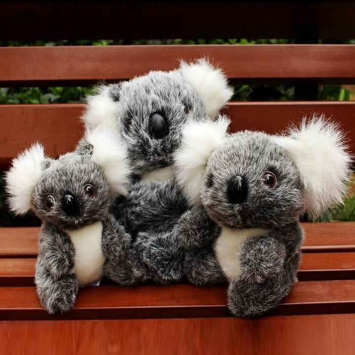 Australia Koalas Plush Toy