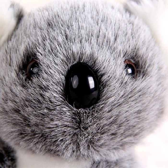 Australia Koalas Plush Toy