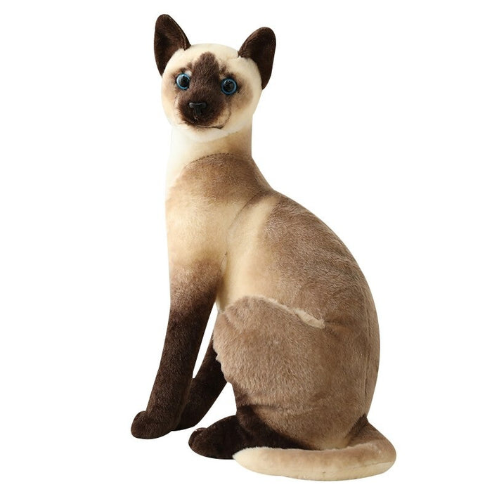 American Shorthai & Siamese Cat Plush Toy