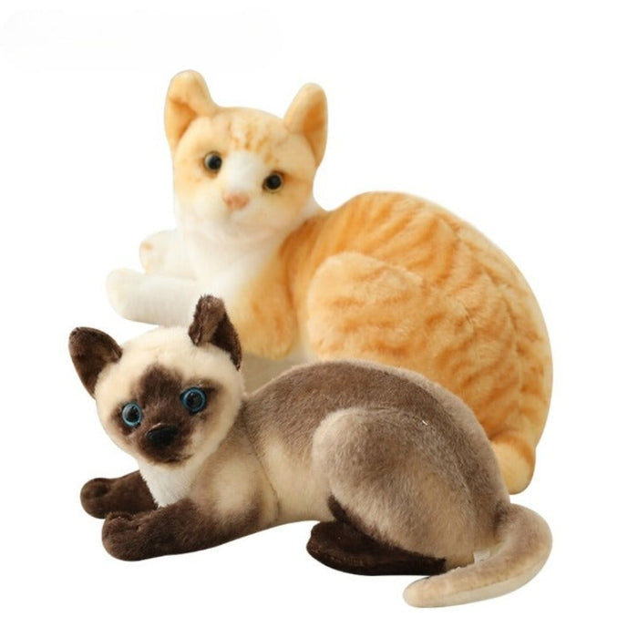 American Shorthai & Siamese Cat Plush Toy