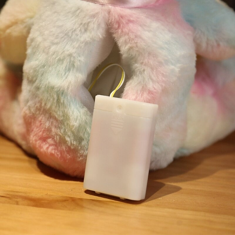 The Colorful LED Bear Plush Toy