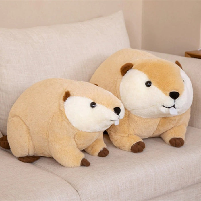 Beaver Plush Toy For Kids