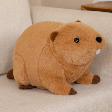 Beaver Plush Toy For Kids