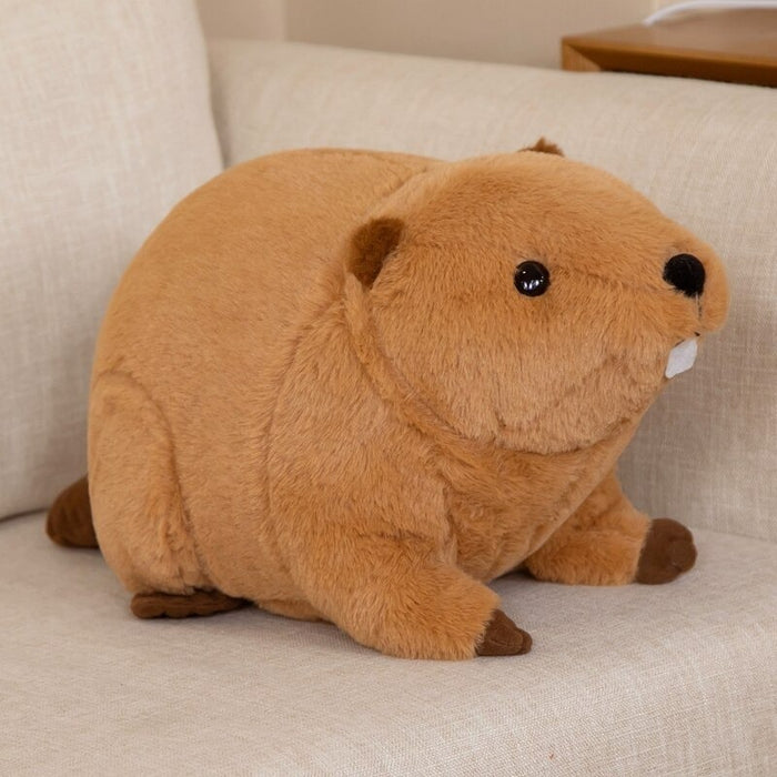 Beaver Plush Toy For Kids