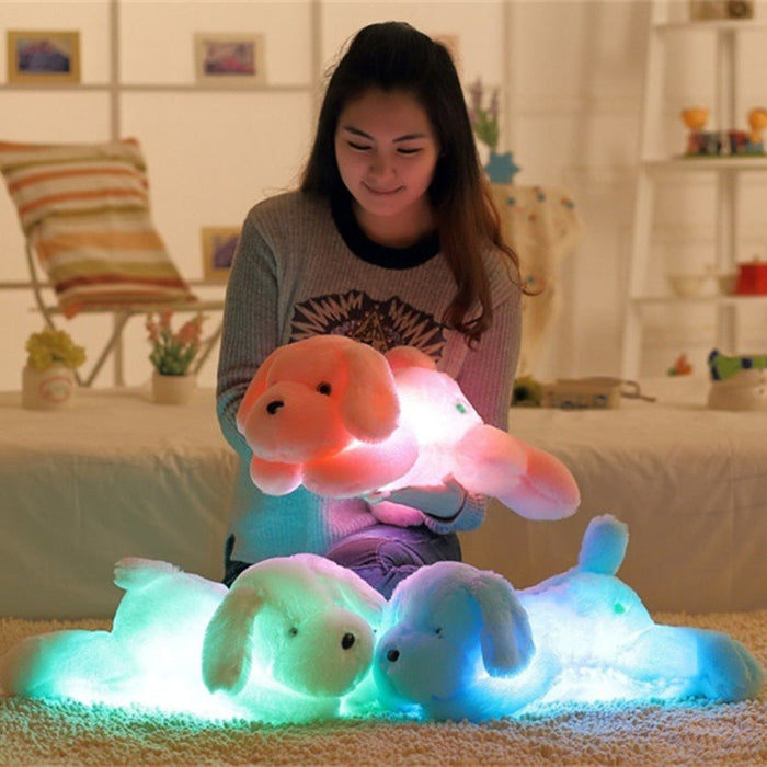 Long Colorful Led Teddy Dog Plush