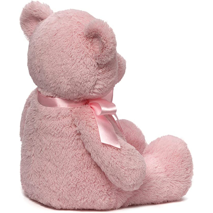 Teddy Bear Plush Toy