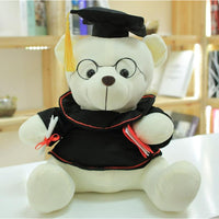 The Graduation Teddy Bear Plush Toy