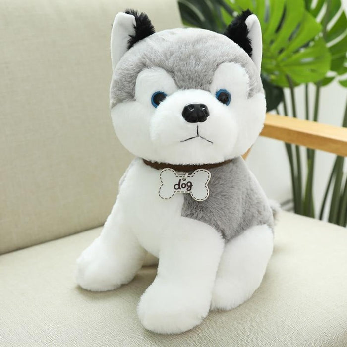 Kawaii Teddy Dog Plush Toy