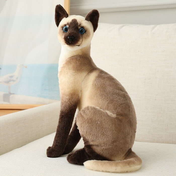 American Shorthai & Siamese Cat Plush Toy