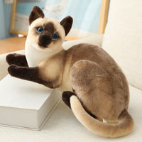 American Shorthai & Siamese Cat Plush Toy