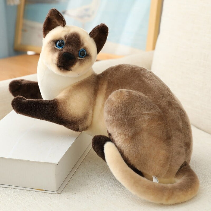 American Shorthai & Siamese Cat Plush Toy