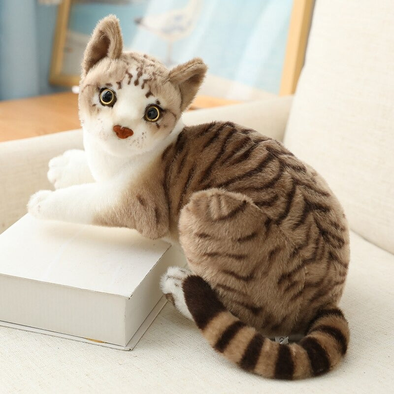 American Shorthai & Siamese Cat Plush Toy