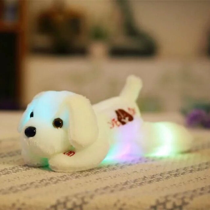 The Colorful LED Dog Plush Toy